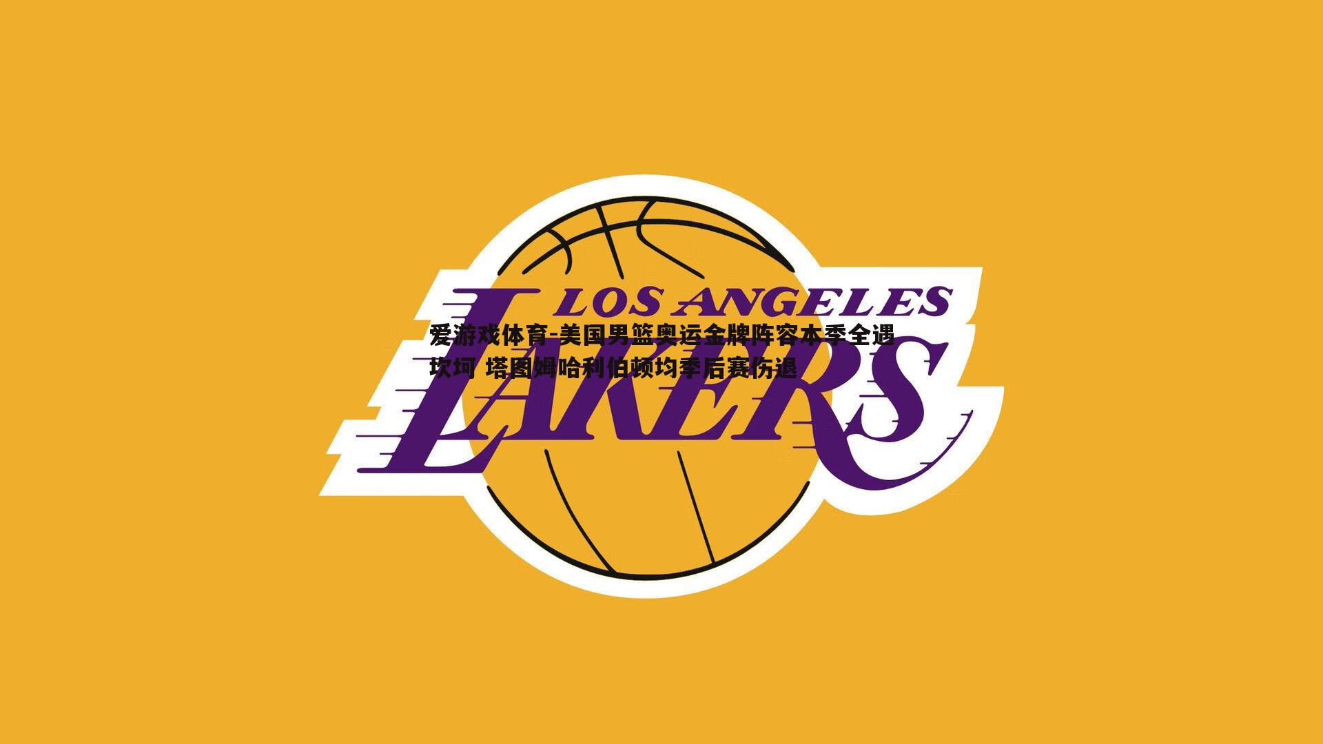 爱游戏体育-美国男篮奥运金牌阵容本季全遇坎坷 塔图姆哈利伯顿均季后赛伤退